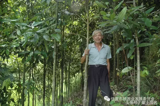 信宜十大风水宝地留题 广东信宜怀乡镇风水宝地