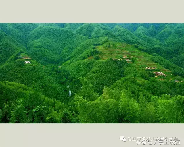 信宜十大风水宝地留题 广东信宜怀乡镇风水宝地