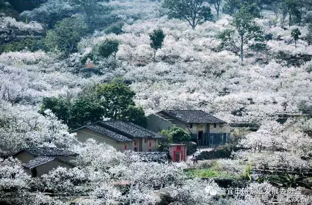 信宜十大风水宝地留题 广东信宜怀乡镇风水宝地