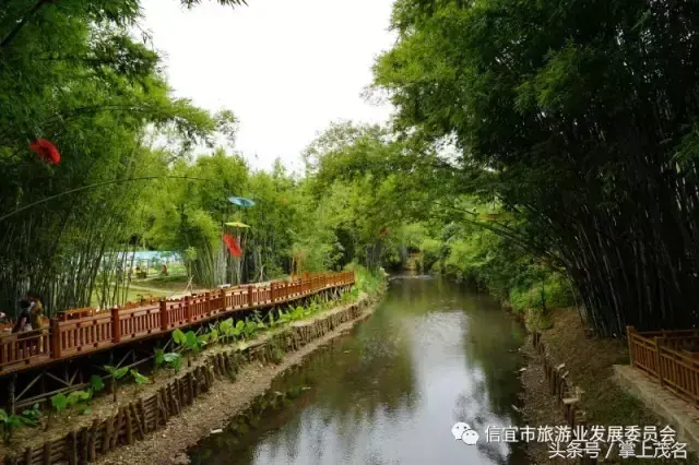 信宜十大风水宝地留题 广东信宜怀乡镇风水宝地