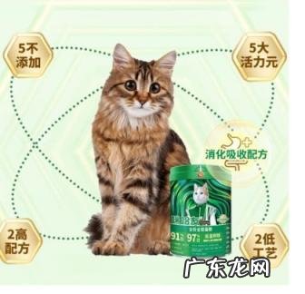 猫粮口味怎么样 猫友家猫粮怎么样