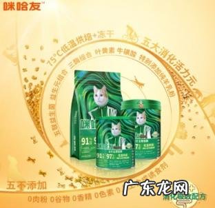 猫友爱猫粮是哪里生产的 猫友家猫粮怎么样