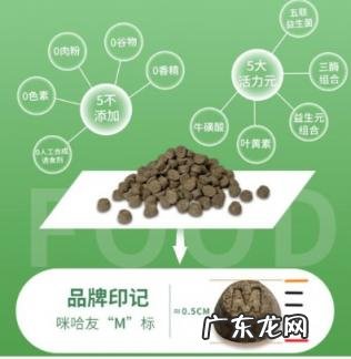 猫友爱猫粮是哪里生产的 猫友家猫粮怎么样