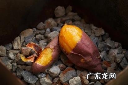 空气炸锅烤红薯的做法 空气炸锅烤红薯200度烤多少分钟