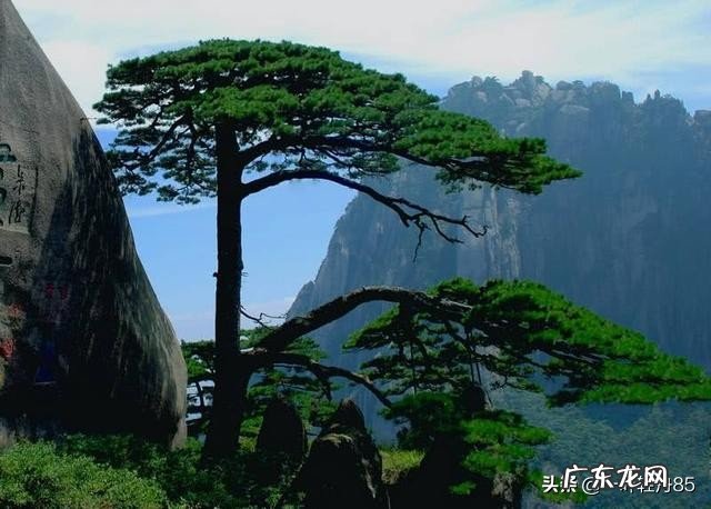 安徽必去五大旅游景点有哪些?能不能具体说说?