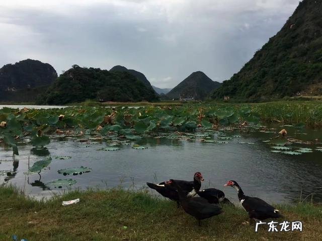 五一黄金周马上就要来了,这个季节去云南旅游的话,哪里最美?