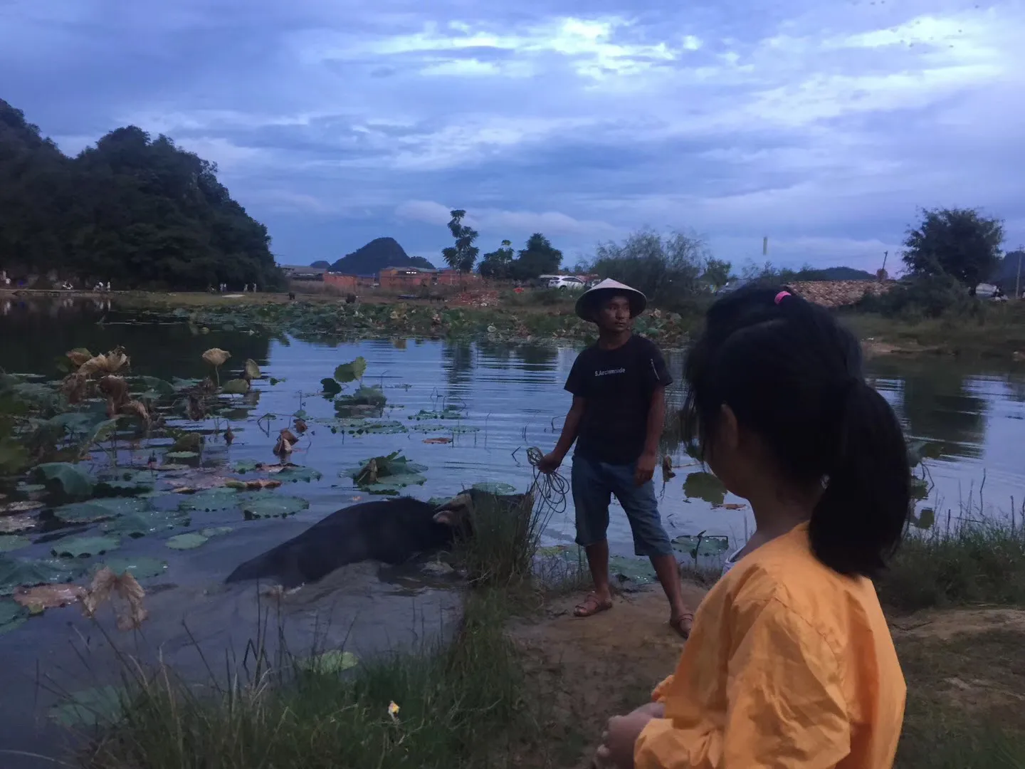 五一黄金周马上就要来了,这个季节去云南旅游的话,哪里最美?