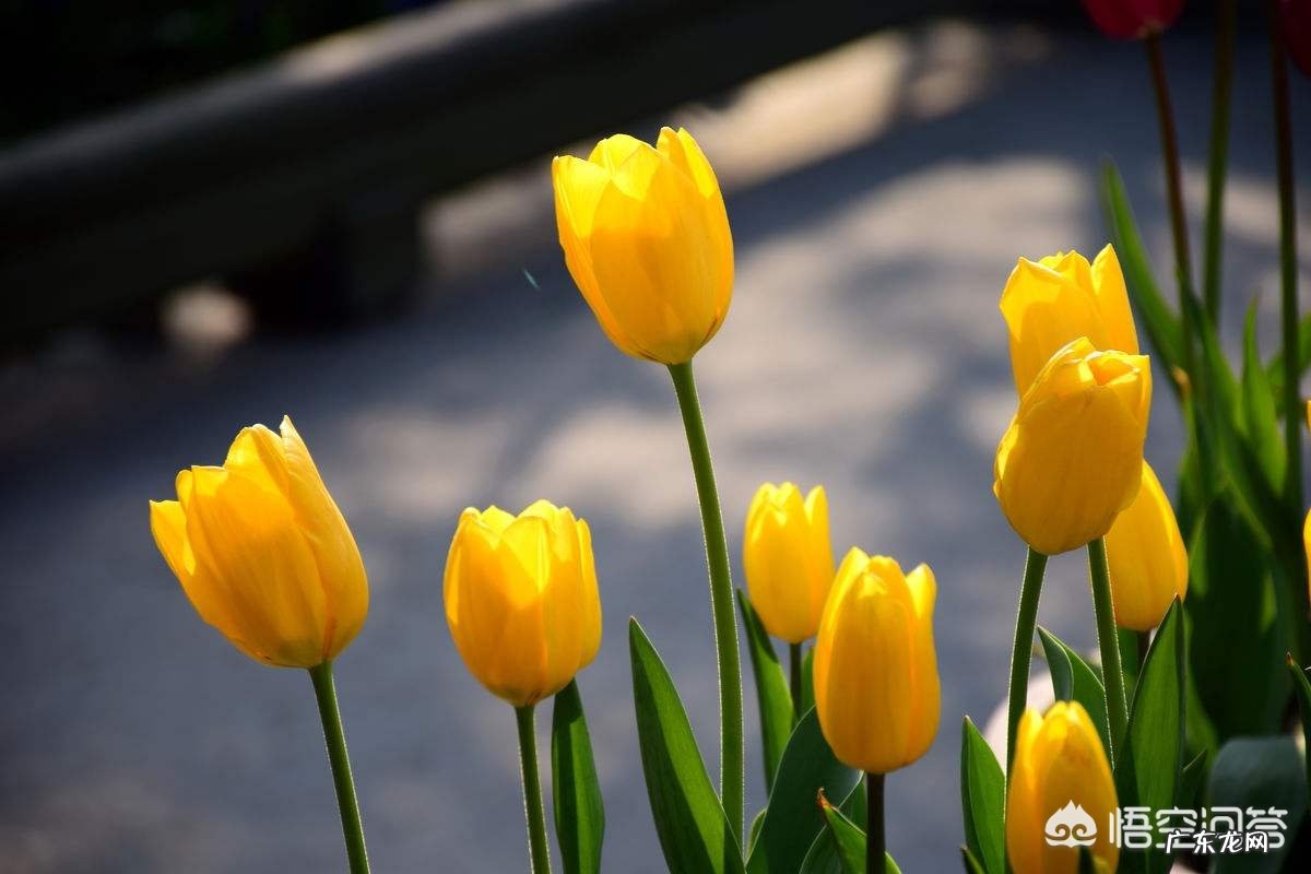 怎么做教案设计？