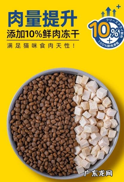 滋奇猫零食怎么样 滋奇猫粮到底怎么样知乎