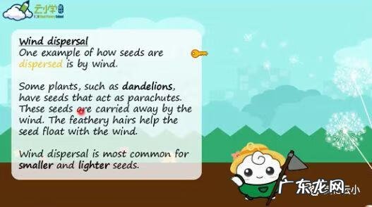 植物传播种子的方法有哪些?