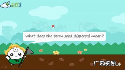 植物传播种子的方法有哪些?