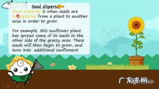植物传播种子的方法有哪些?
