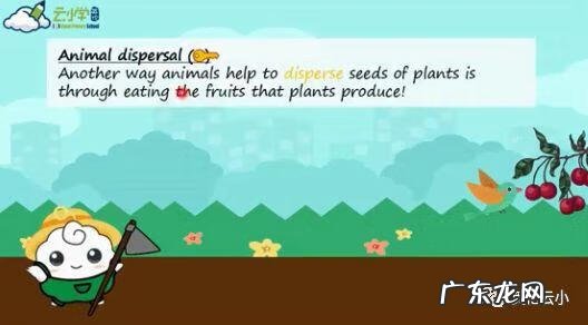 植物传播种子的方法有哪些?