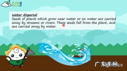 植物传播种子的方法有哪些?