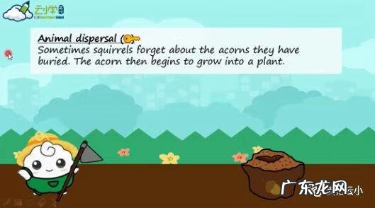 植物传播种子的方法有哪些?