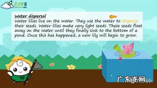 植物传播种子的方法有哪些?