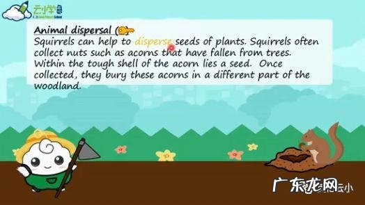 植物传播种子的方法有哪些?