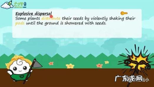 植物传播种子的方法有哪些?