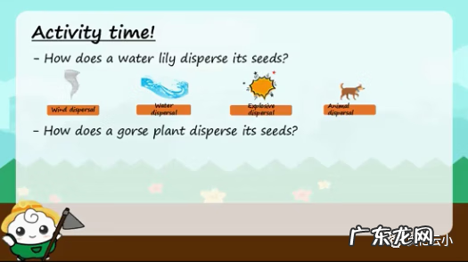 植物传播种子的方法有哪些?