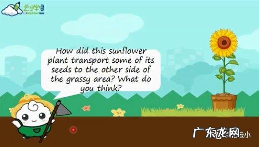 植物传播种子的方法有哪些?