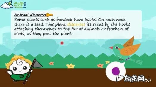 植物传播种子的方法有哪些?