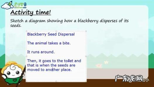 植物传播种子的方法有哪些?