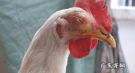 支原体是什么原因引起的 支原体是怎么感染上的