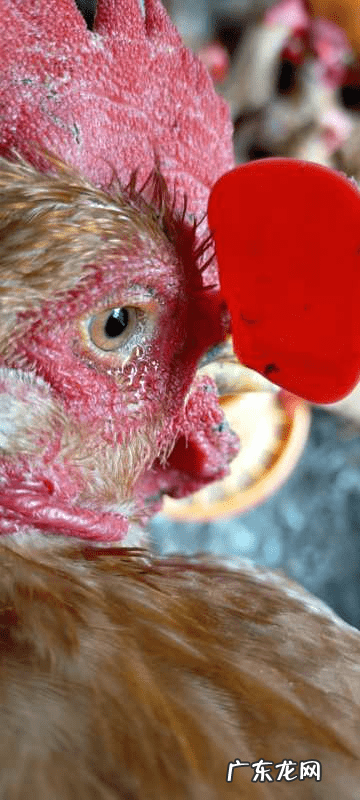 支原体是什么原因引起的 支原体是怎么感染上的