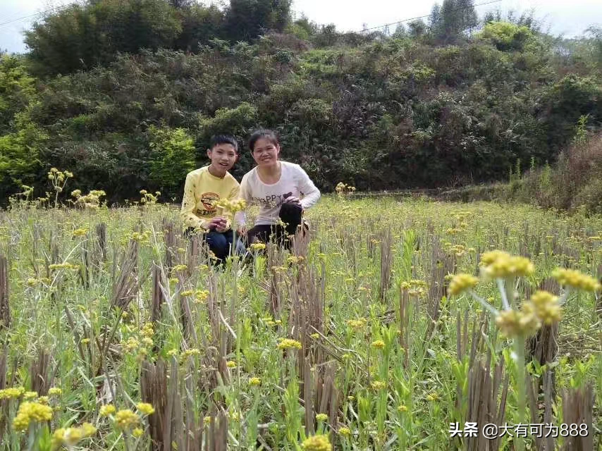 如何拍摄出“草色青青柳色黄,桃花历乱李花香”的唯美意境?