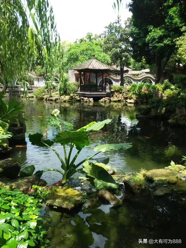 如何拍摄出“草色青青柳色黄,桃花历乱李花香”的唯美意境?