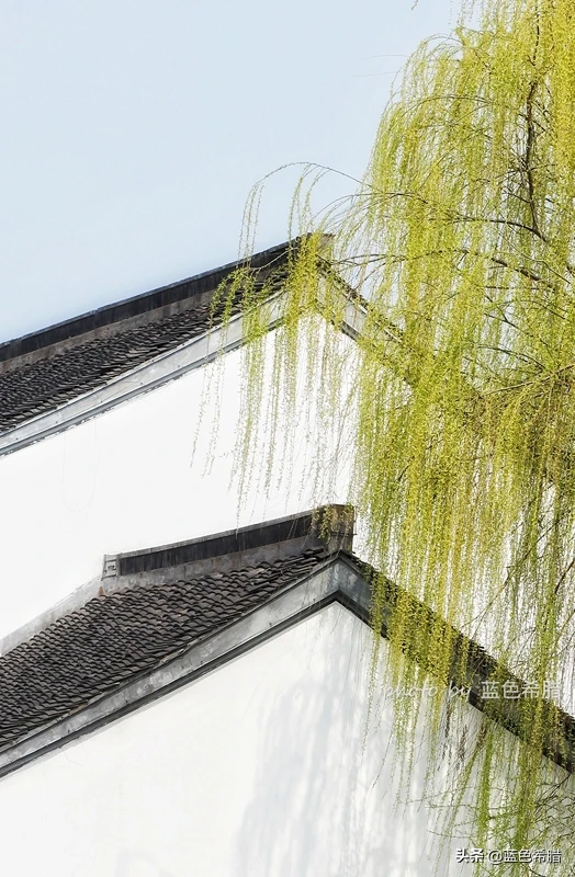 如何拍摄出“草色青青柳色黄，桃花历乱李花香”的唯美意境？