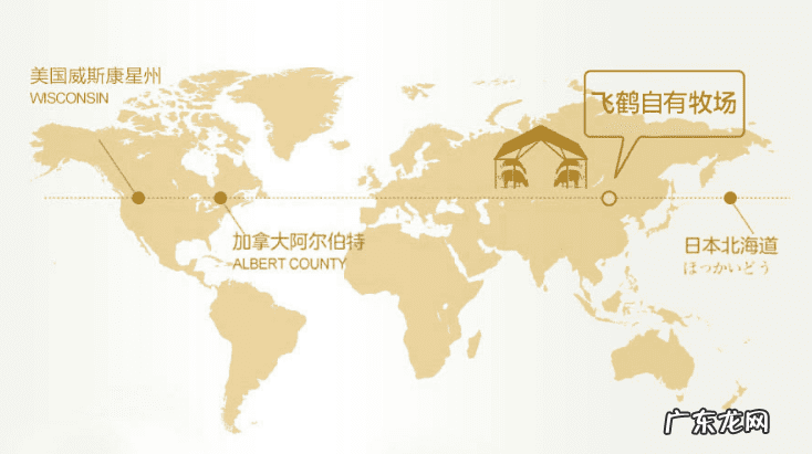 飞鹤超级飞帆奶粉怎么样 飞鹤飞帆奶粉优缺点