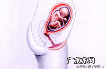 子宫只有2.5厘米正常吗 十厘米能到子宫吗
