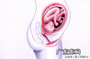 子宫只有2.5厘米正常吗 十厘米能到子宫吗