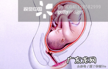 子宫只有2.5厘米正常吗 十厘米能到子宫吗