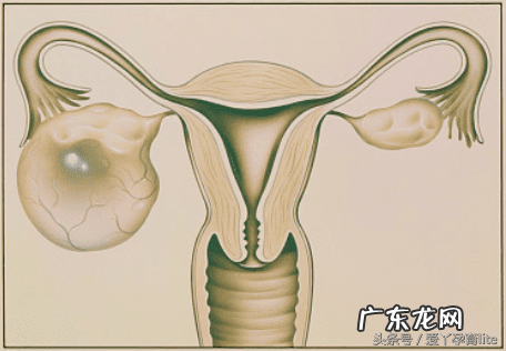 子宫只有2.5厘米正常吗 十厘米能到子宫吗