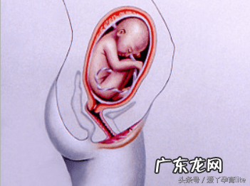 子宫只有2.5厘米正常吗 十厘米能到子宫吗