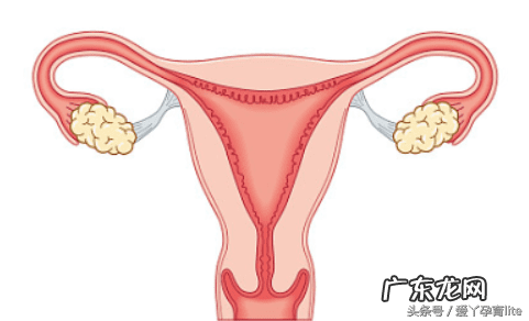 子宫只有2.5厘米正常吗 十厘米能到子宫吗