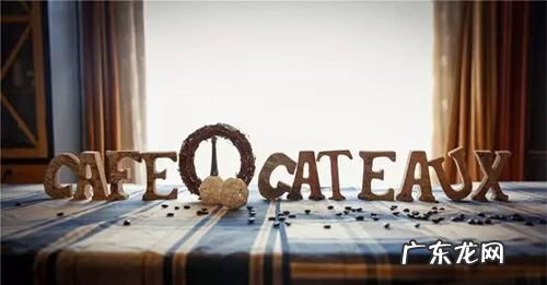 王森和欧米奇学校哪个好一些 王森学校在哪里