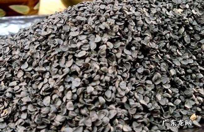 韭菜怎么吃最壮阳及服用方法 韭菜子怎么吃治早泄