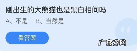 小鸡庄园最新的答案5.28 蚂蚁庄园小鸡最新答案8月16