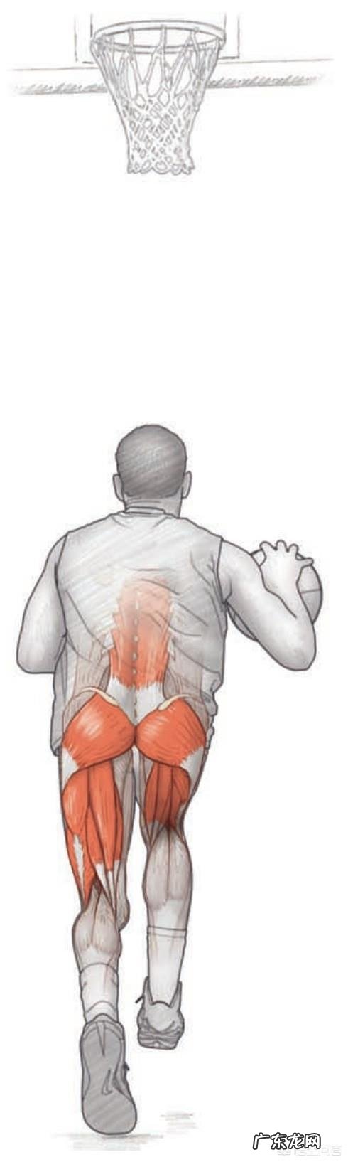 如何进行日常篮球训练?