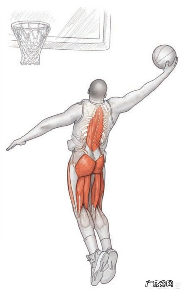 如何进行日常篮球训练?