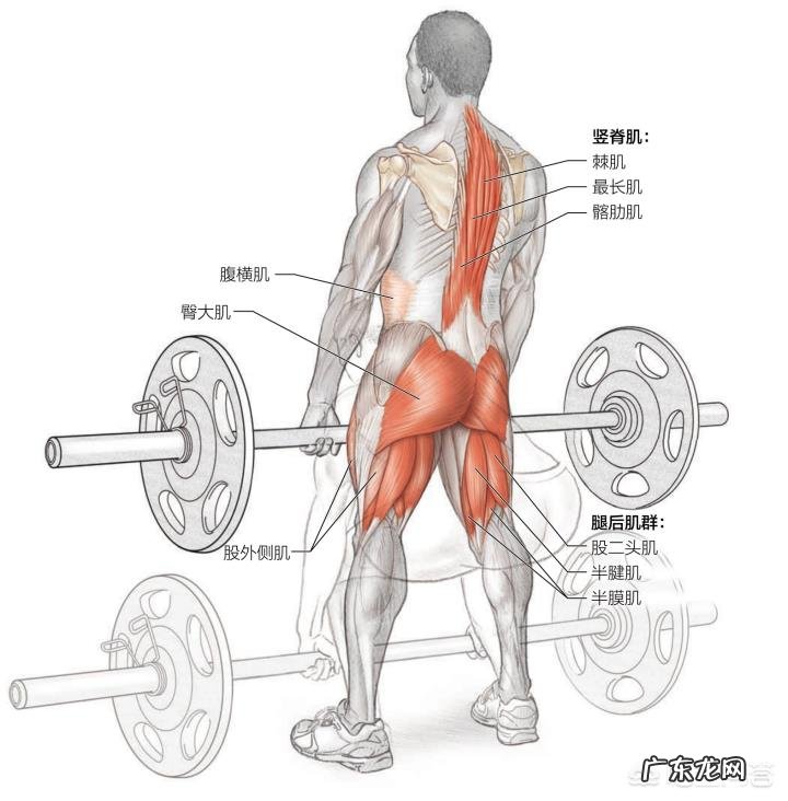 如何进行日常篮球训练?