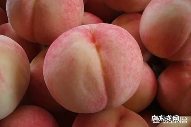 孕妇能不能吃桃子?为什么?