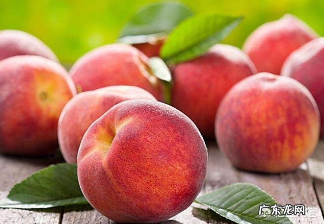 孕妇能不能吃桃子?为什么?