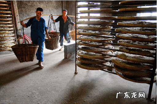 酱油的做法 最正宗的做法 酱油的制作方法