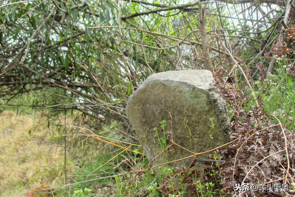 地下室风水禁忌 活人住在地下的风水说法是