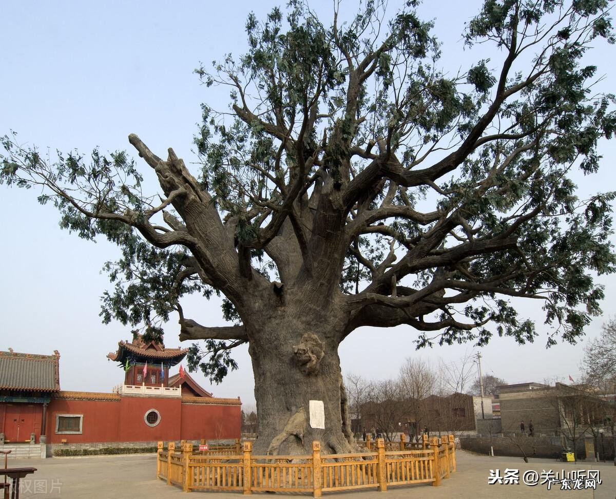 地下室风水禁忌 活人住在地下的风水说法是