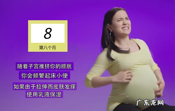 记录怀孕全过程 孕妇怀孕全过程